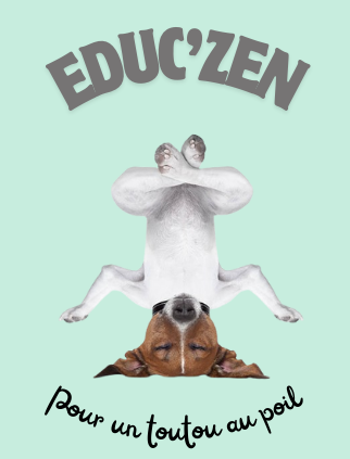 EDUC'ZEN